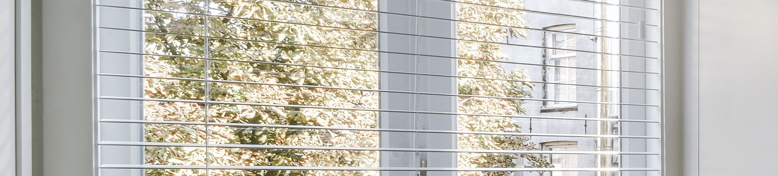 Aluminum Venetian Blinds in Stanford